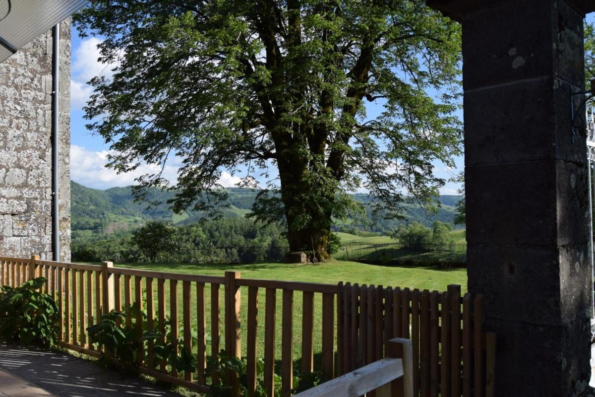 Gite 4 Personnes Dans Le Cantal Animaux Bienvenus Lascelle Exterior foto